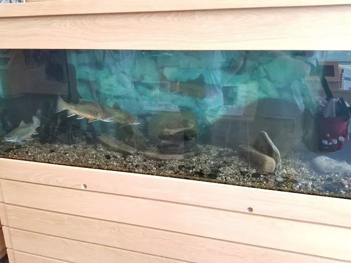 Aquarium Management Systems Picture 10