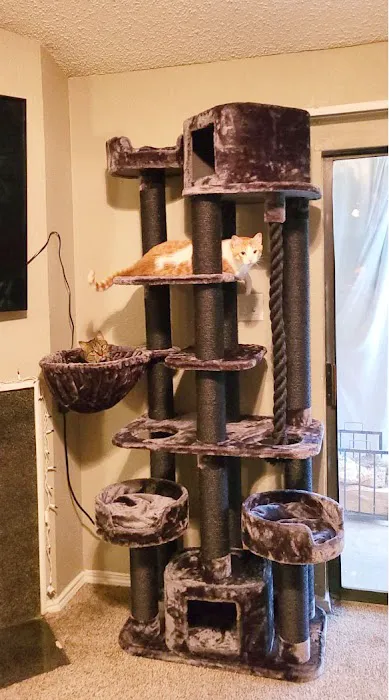 Cozy Cat Furniture Picture 1