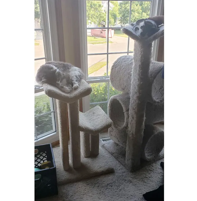 Cozy Cat Furniture Picture 2