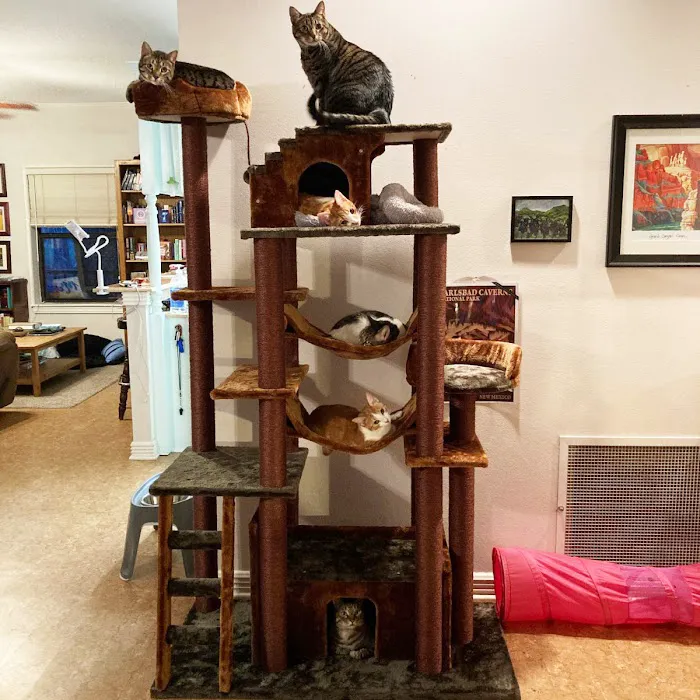 Cozy Cat Furniture Picture 6