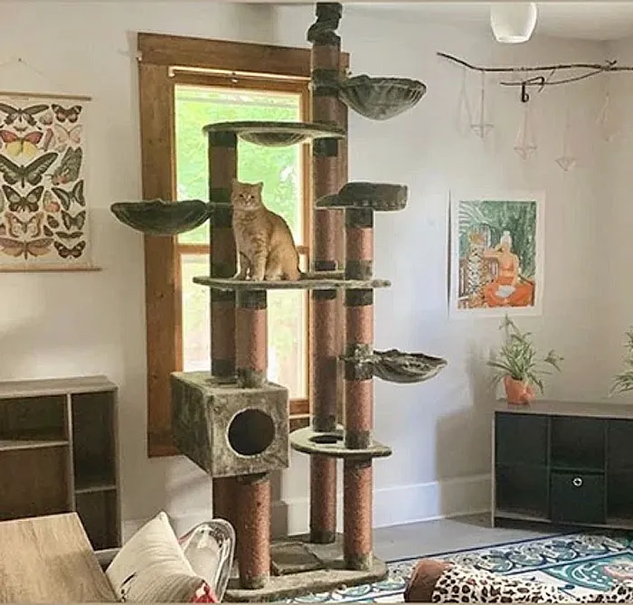 Cozy Cat Furniture Picture 7