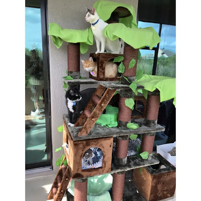 Cozy Cat Furniture Picture 8