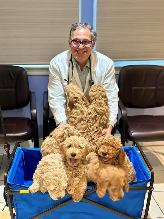 All Pets Vet Hospital Picture 3