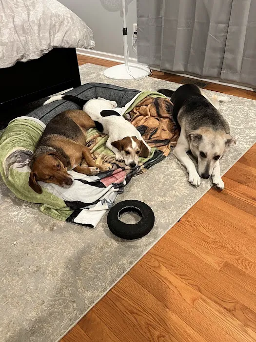 All Pets Vet Hospital Picture 6