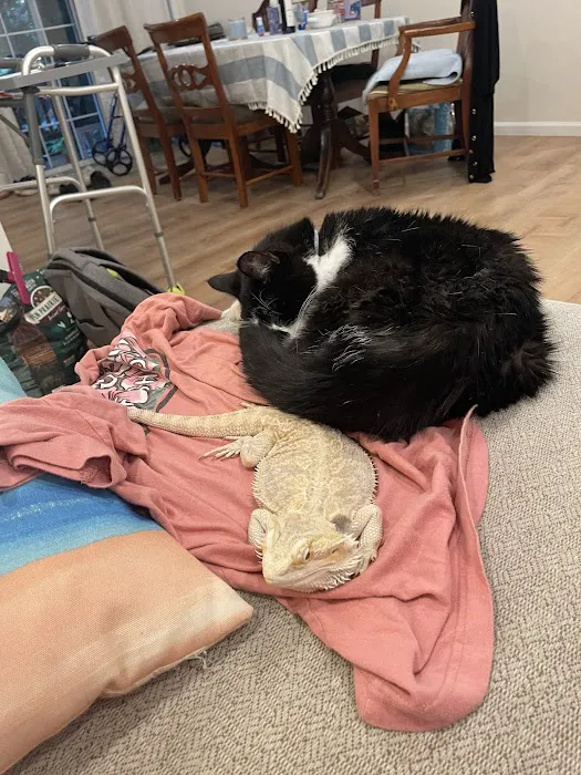 All Pets Vet Hospital Picture 8