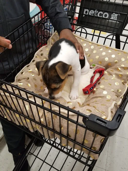 Petco Picture 6