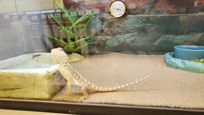 Petco Picture 7