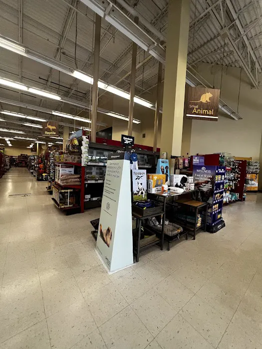 Petco Picture 10