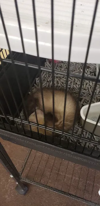 PV Pets Picture 5