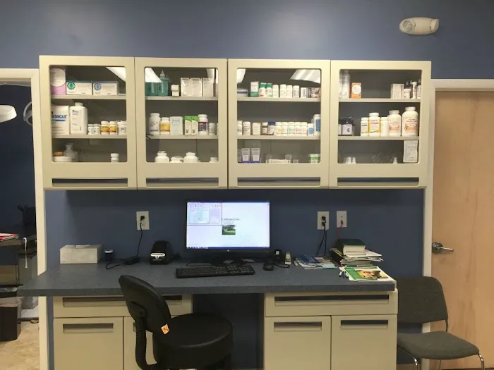 Faith Veterinary Clinic Services Picture 3