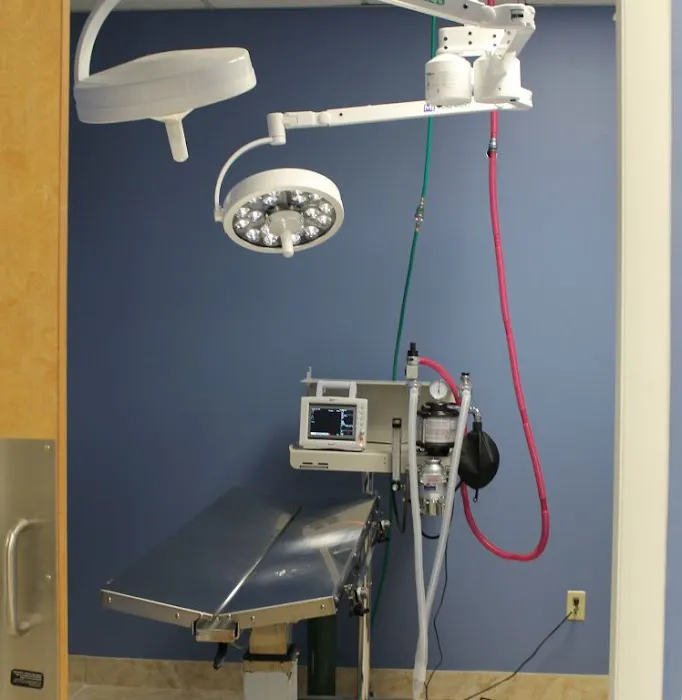 Faith Veterinary Clinic Services Picture 1