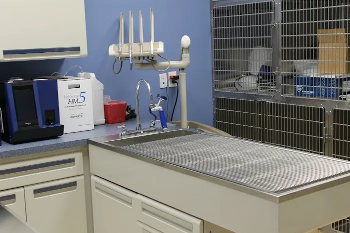 Faith Veterinary Clinic Services Picture 6