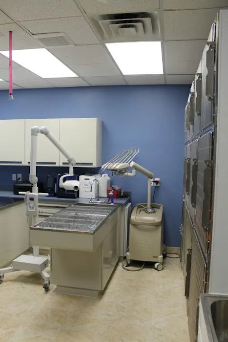 Faith Veterinary Clinic Services Picture 7