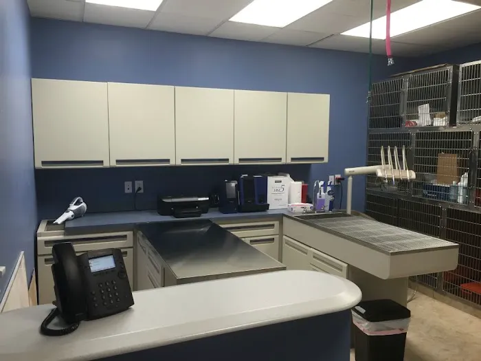 Faith Veterinary Clinic Services Picture 9