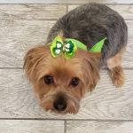 Faith Veterinary Clinic