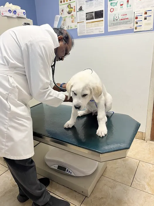 Faith Veterinary Clinic Picture 5