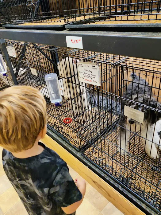 Little Paws Dog Shop LLC Picture 2