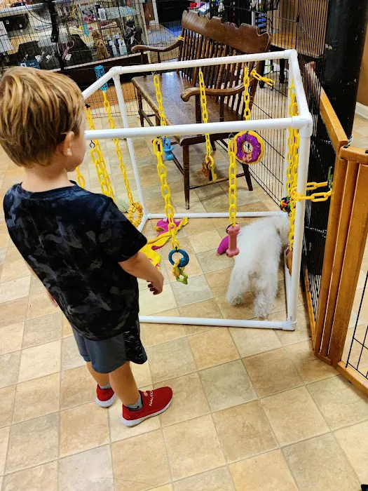 Little Paws Dog Shop LLC Picture 10