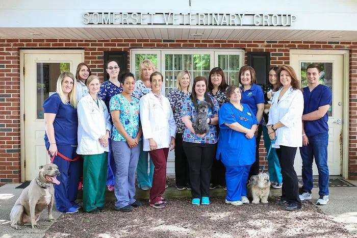 Somerset Veterinary Group Picture 1
