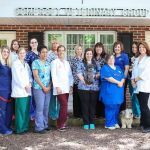 Somerset Veterinary Group