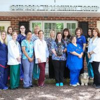 Somerset Veterinary Group ico