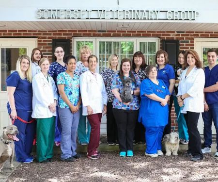 Somerset Veterinary Group