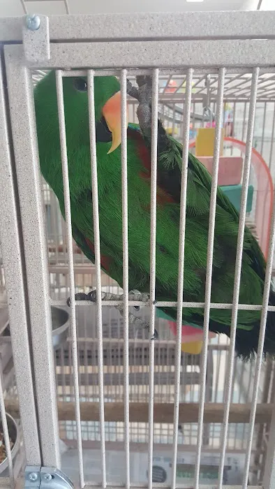 Rentzels Bird Farm Picture 3