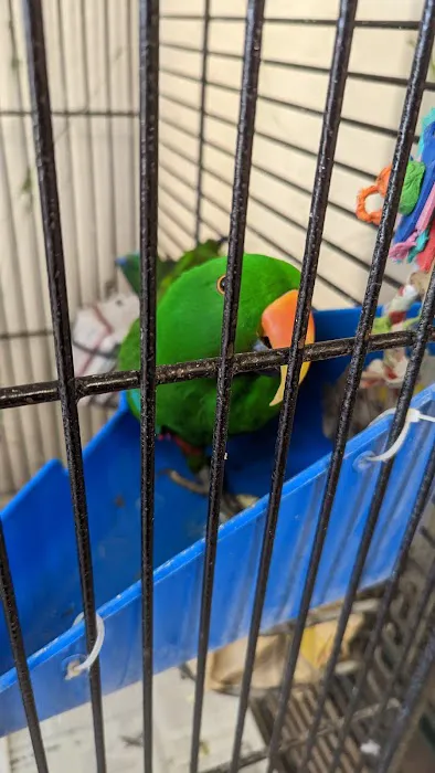 Rentzels Bird Farm Picture 6