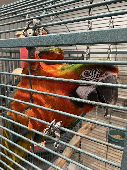 Rentzels Bird Farm Picture 5