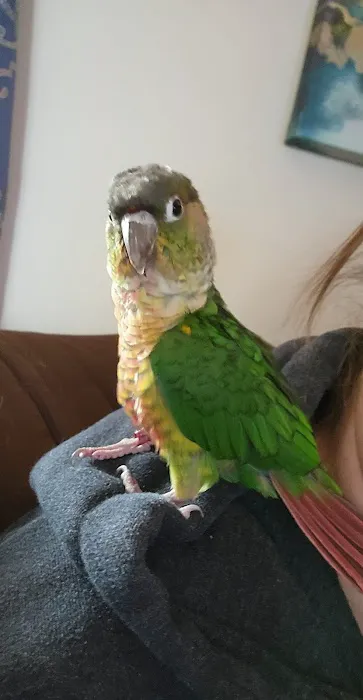 Rentzels Bird Farm Picture 8