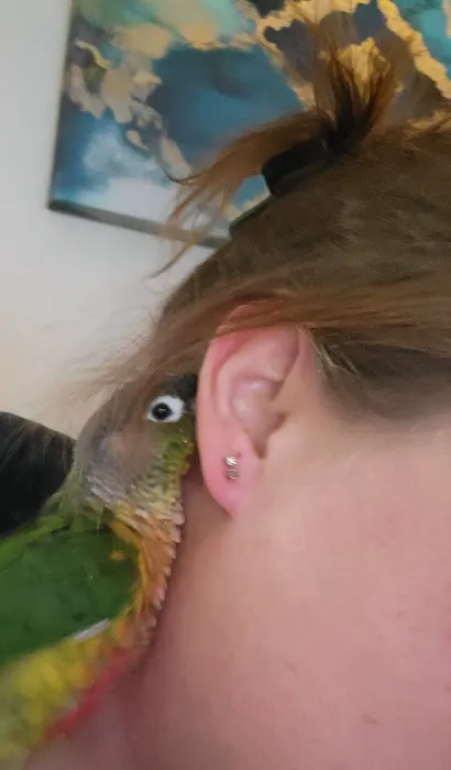 Rentzels Bird Farm Picture 10