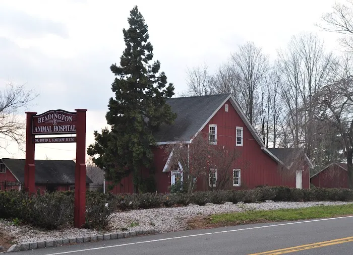 Readington Animal Hospital Picture 1