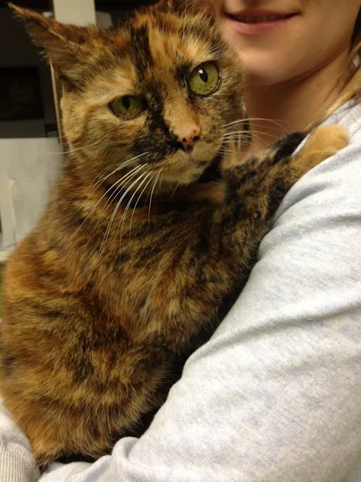 Readington Animal Hospital Picture 10