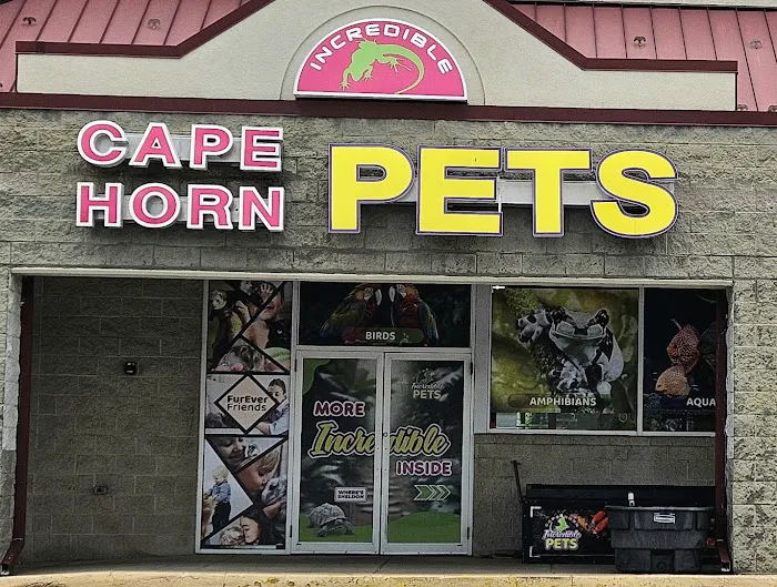 Cape Horn Incredible Pets Picture 2