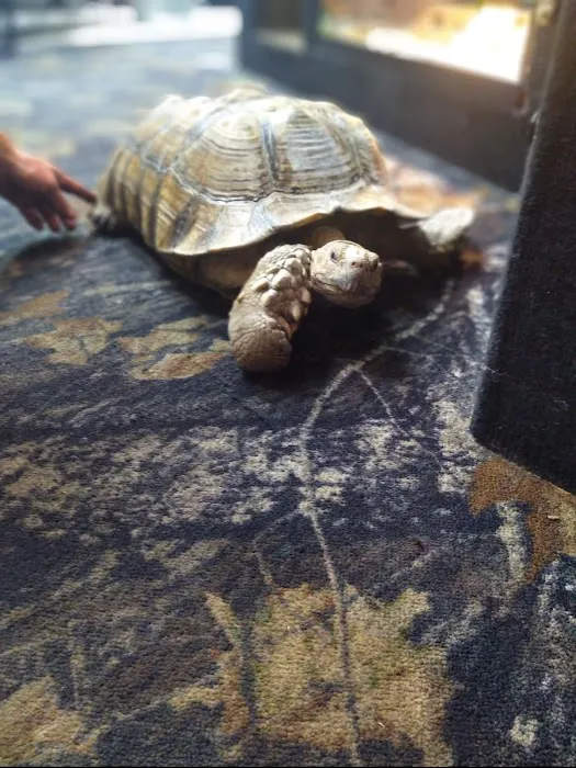 Cape Horn Incredible Pets Picture 1