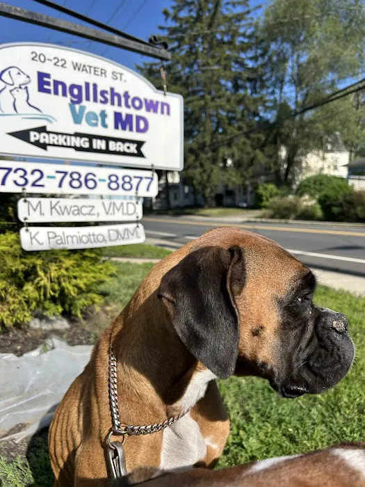 Englishtown Vet MD Picture 2