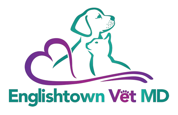 Englishtown Vet MD Picture 3