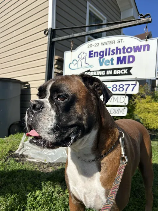 Englishtown Vet MD Picture 1