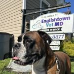 Englishtown Vet MD