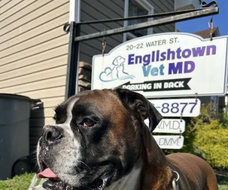 Englishtown Vet MD