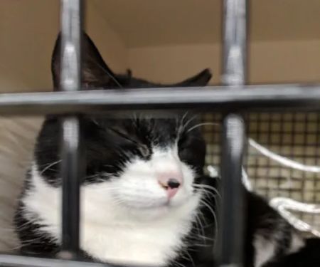 Petco