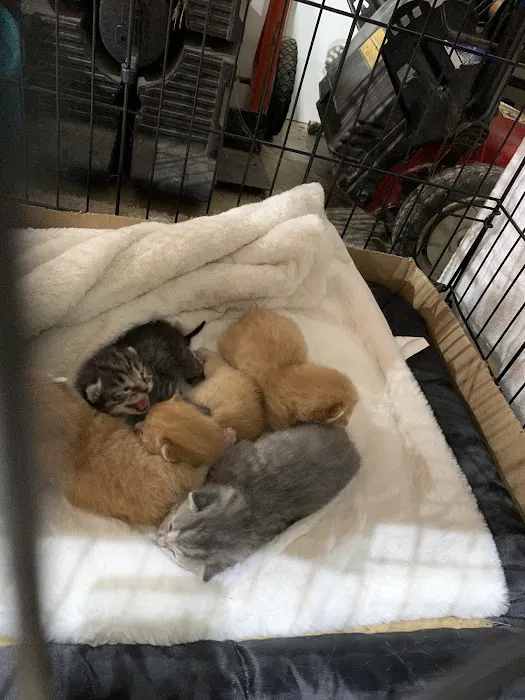 Petco Picture 4
