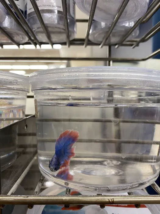 Petco Picture 5