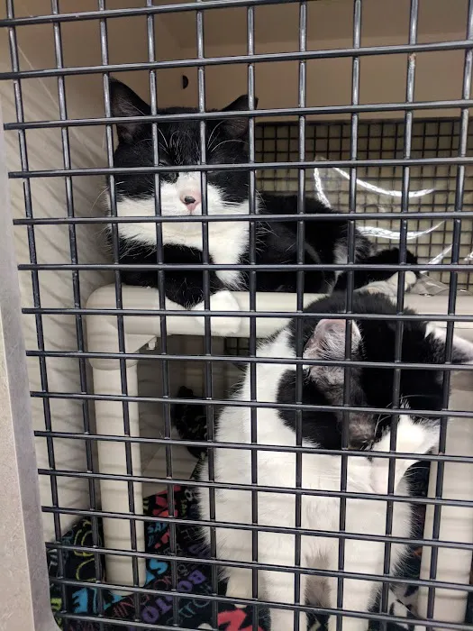 Petco Picture 6