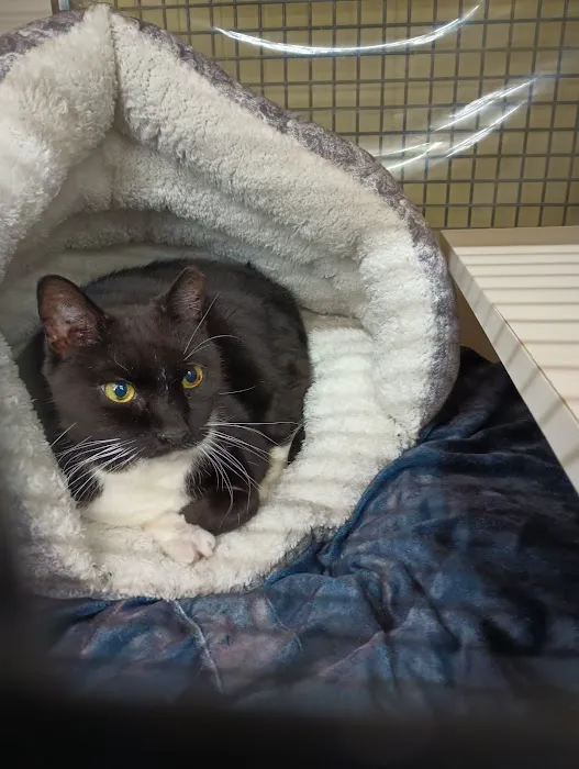 Petco Picture 10