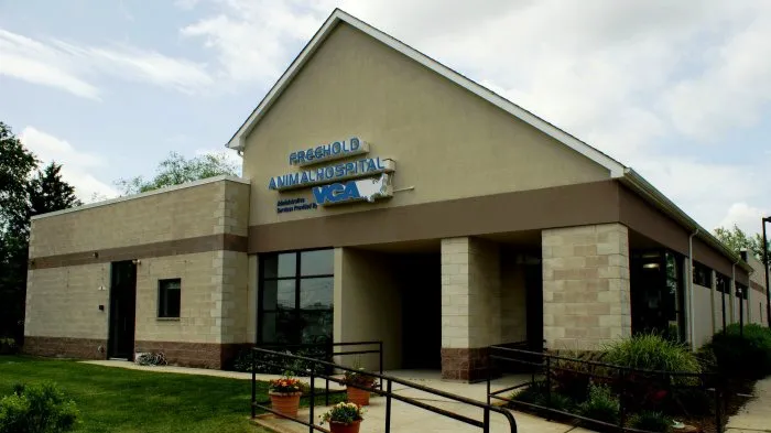 Freehold Animal Hospital Picture 2