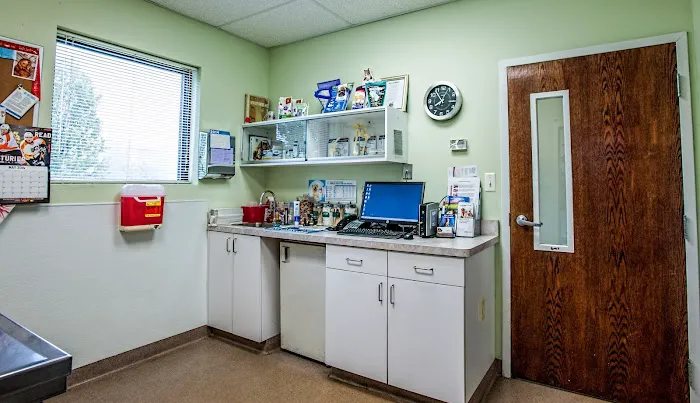 Freehold Animal Hospital Picture 5