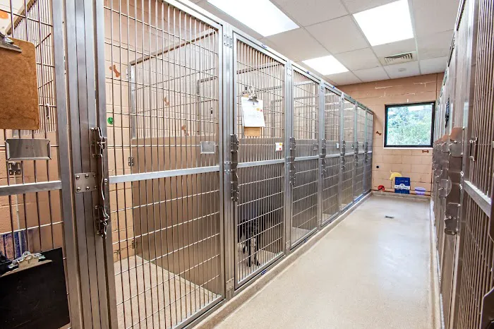 Freehold Animal Hospital Picture 4