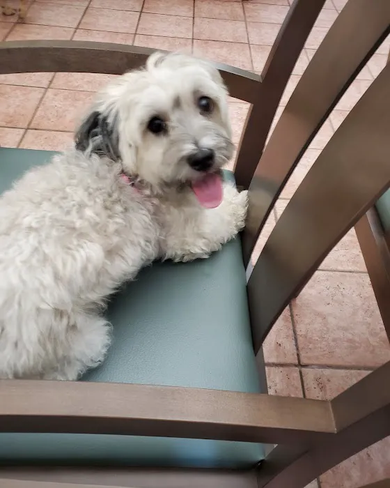 Freehold Animal Hospital Picture 6