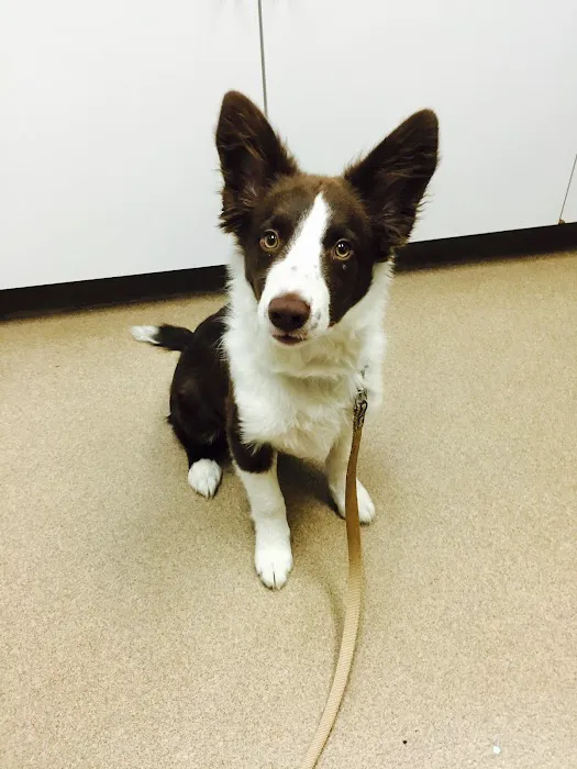 Freehold Animal Hospital Picture 8